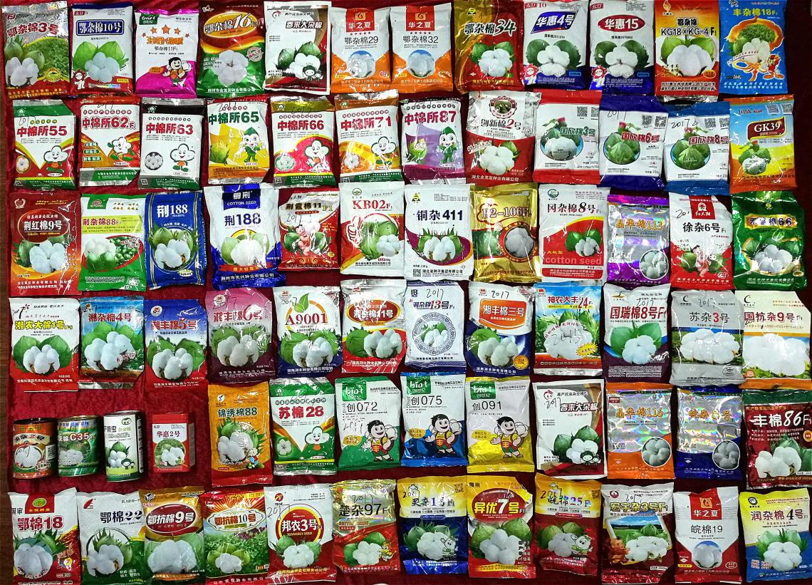 Seed packages containing various cotton seed mixes for sale in China 